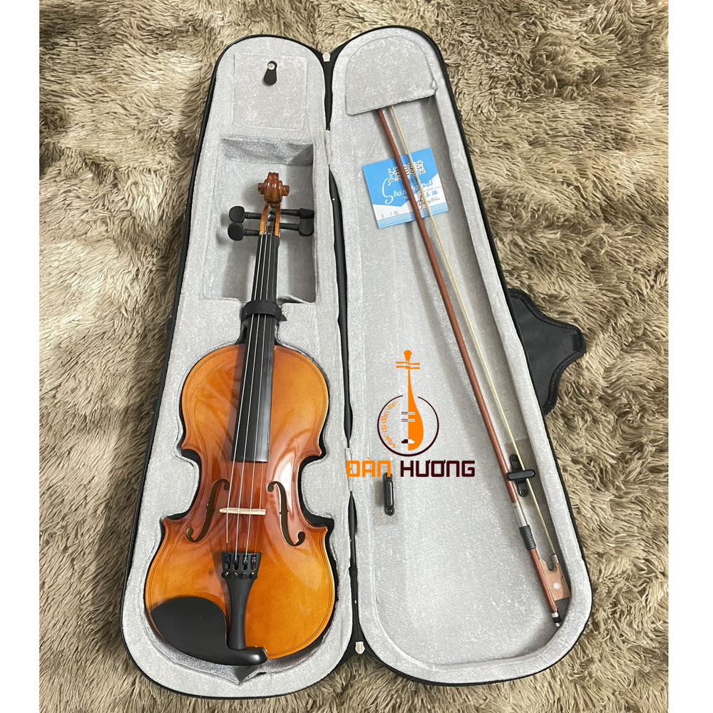 mua đàn violin v24 size 4/4