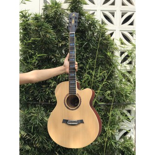 mua đàn guitar acoustic swift horse bl281c